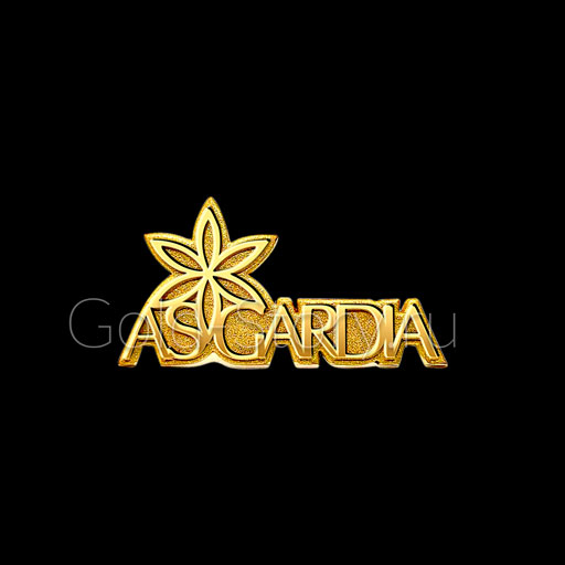 Корпоративный золотой значок Asgardia фотография 2