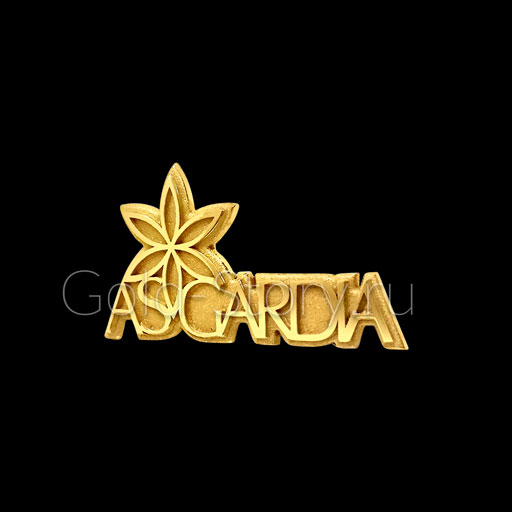 Корпоративный золотой значок Asgardia